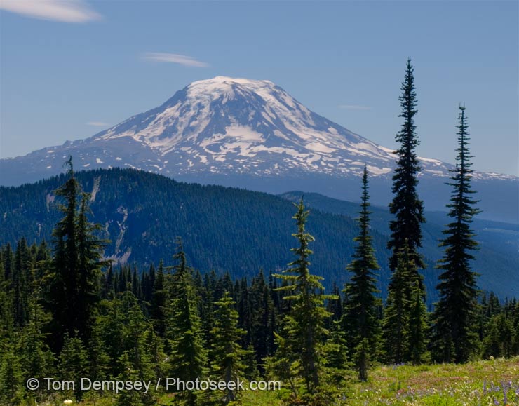 Mt. Adams